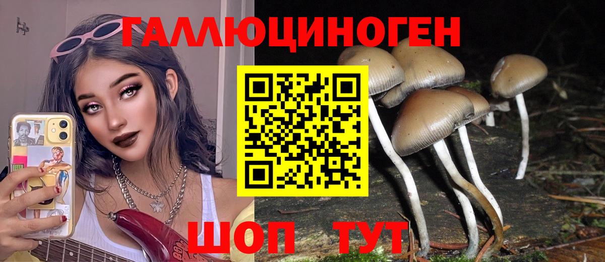 Псилоцибиновые грибы прущие грибы  Вход с VPN  Барабинск 